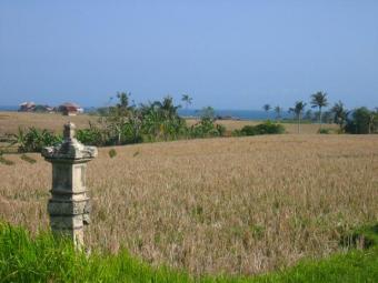 Piece of land in Bali Pantai Kaletjung